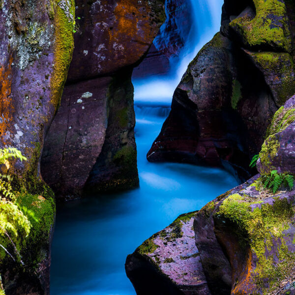 Avalanche Creek Canyon. Glacier National Park, Montana Photo