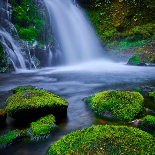The Moss Rocks of Panther Creek. Waterfalls photo. Columbia River Gorge, WA