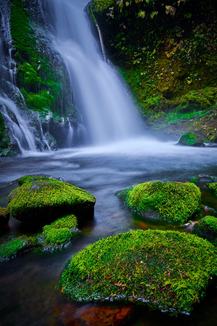 The Moss Rocks of Panther Creek. Waterfalls photo. Columbia River Gorge, WA