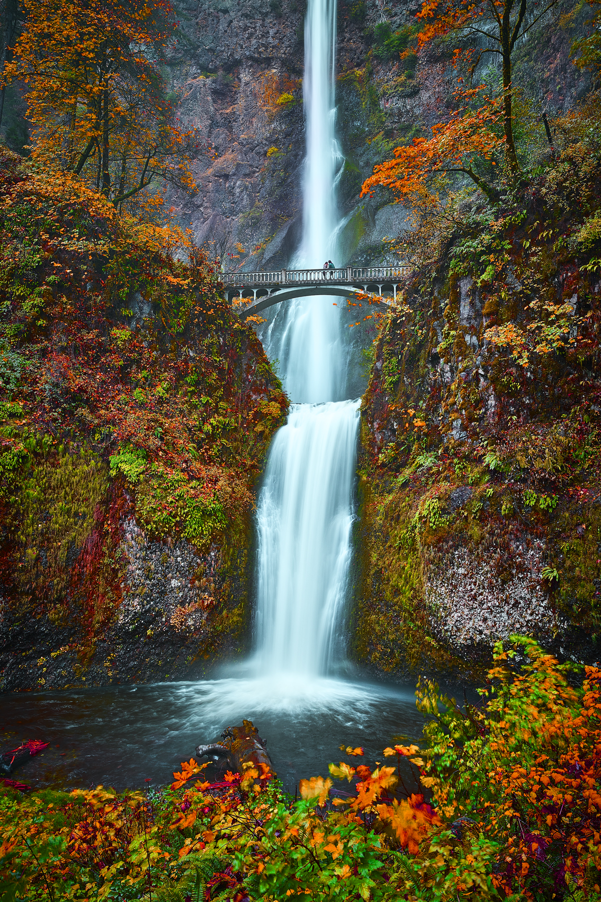 Multnomah Falls. Waterfalls, Rivers photo. Columbia River Gorge, OR