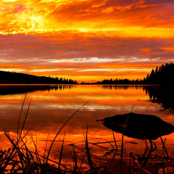 Mesa Fire. Grand Mesa, CO. Sunsets photo