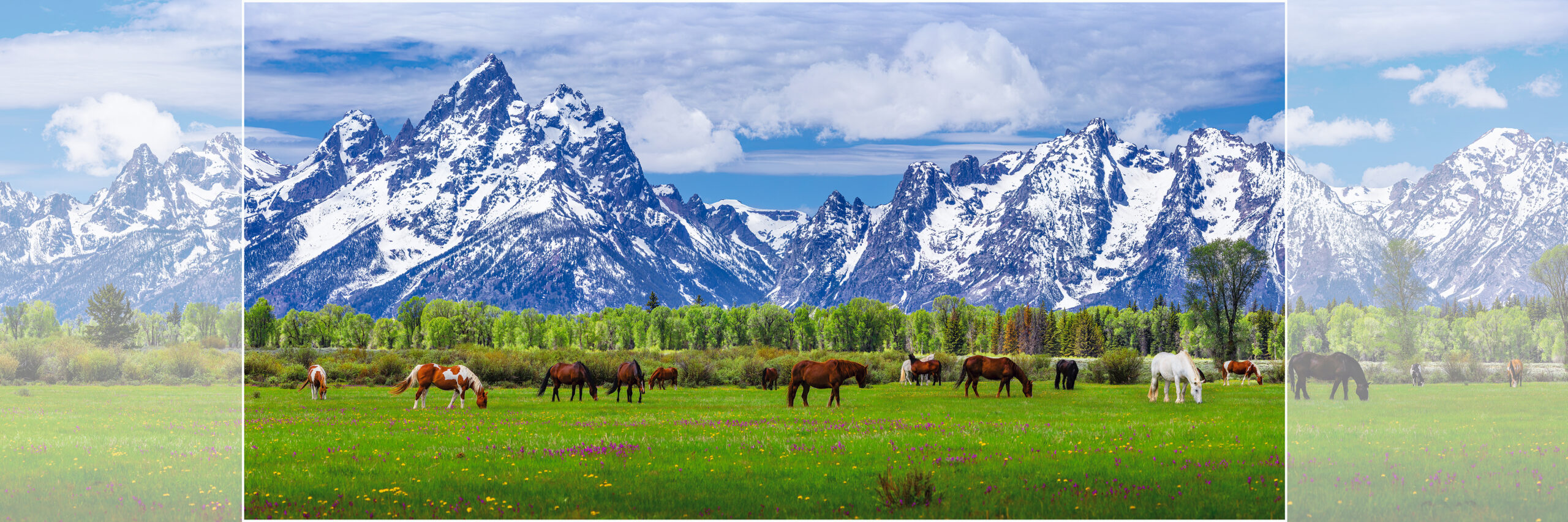 1043-2 The Teton Horses 30x60