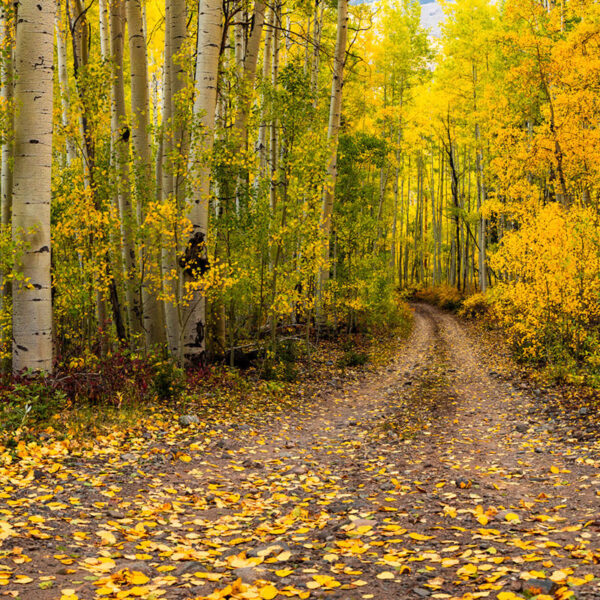 Aspen Road