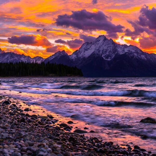 Purple Mountain Majesty