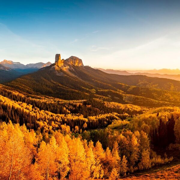 The Sea of Gold