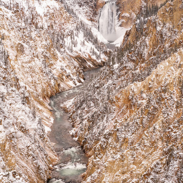 Snowy Grand Canyon of the Yellowstone