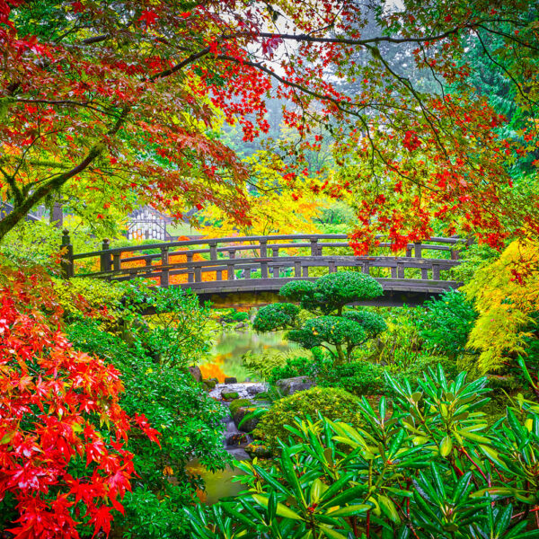 The Garden Bridge
