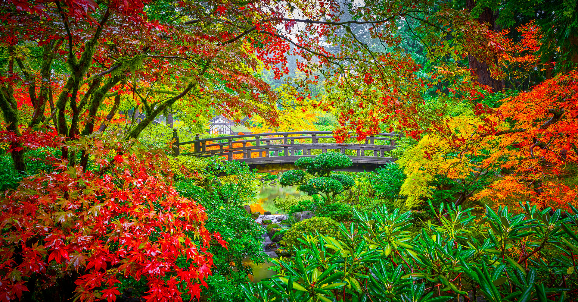 The Garden Bridge