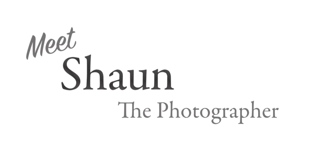 the-artist-title
