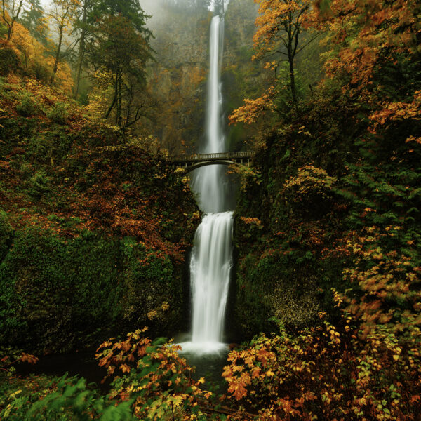 A Color Storm at Multnomah Falls