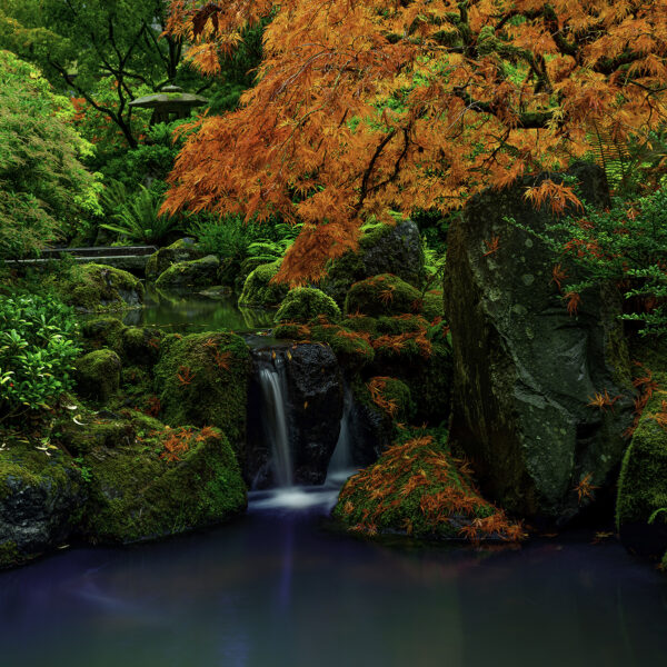 The Tsuki-yama
