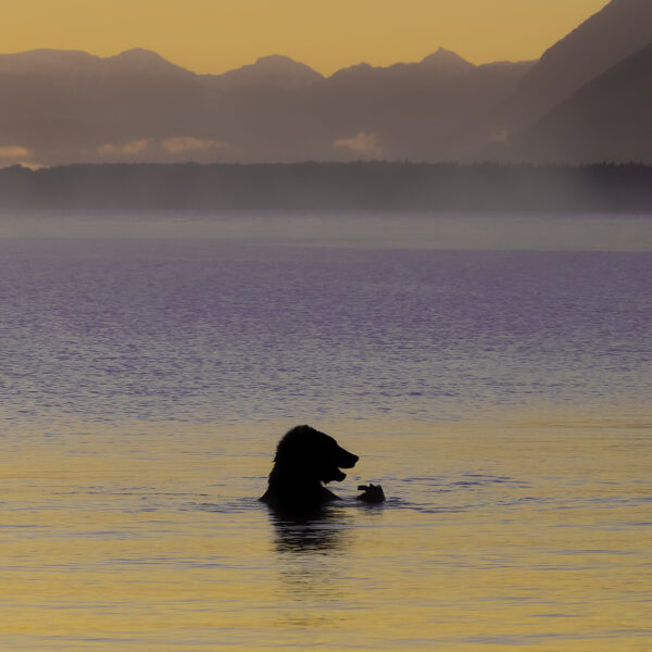 Untouched Alaska