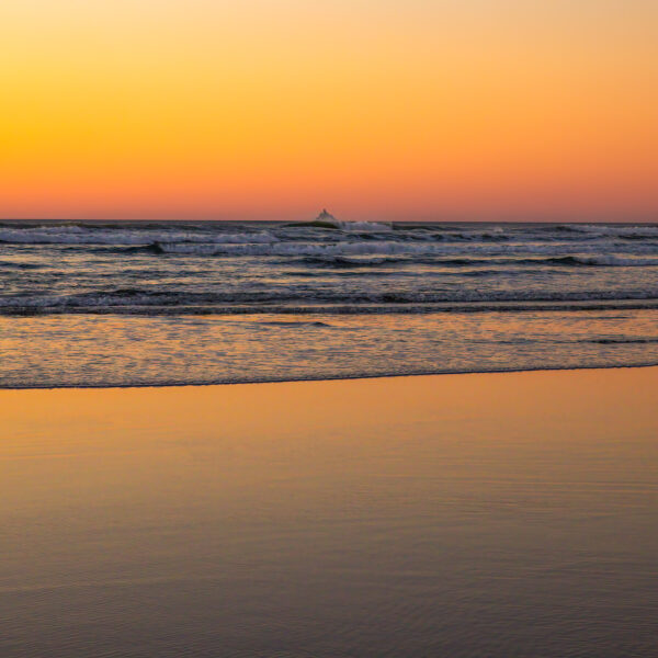 Alone with the Sea