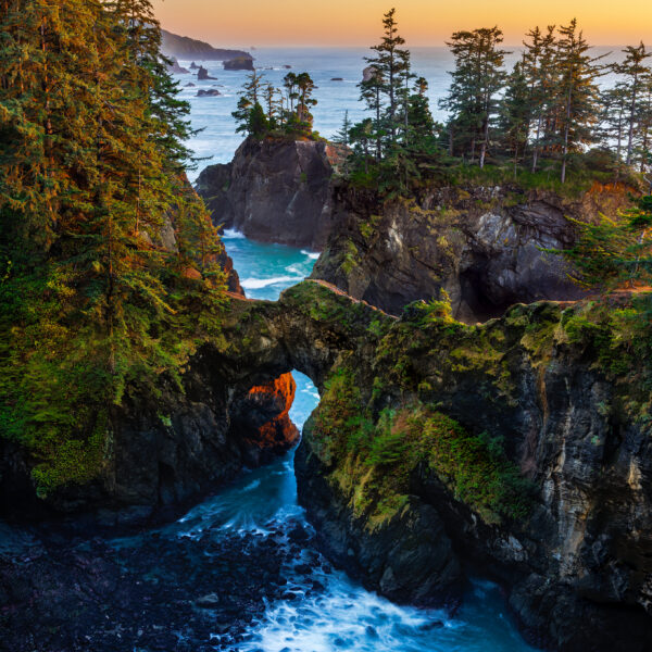 Cove of Wonders