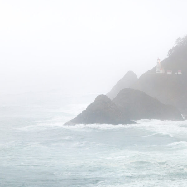 Painted with Fog