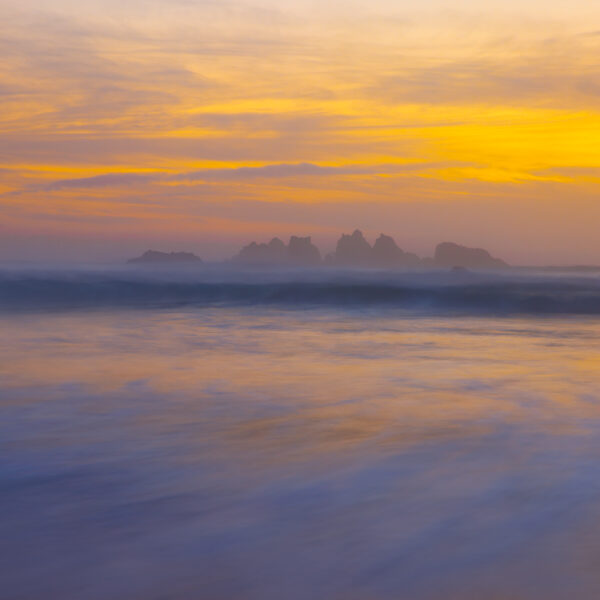 Seaside Monet