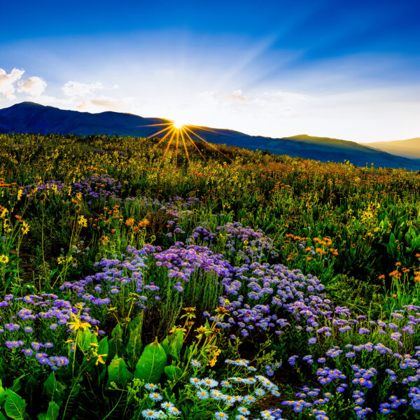 Crested Butte Sunrise