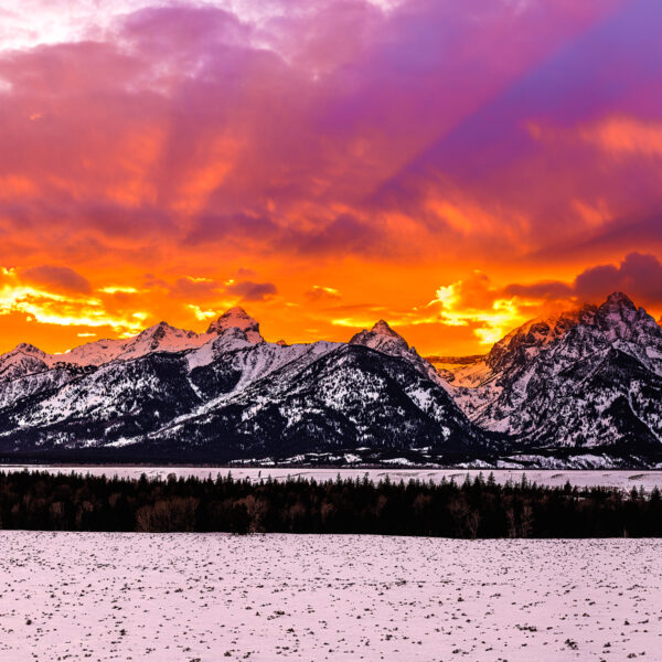 150 Year Yellowstone Sunset