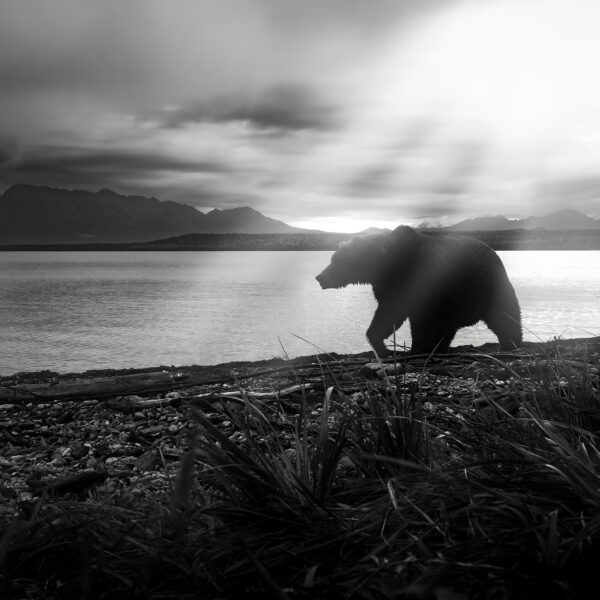 Alaskan Journeyman