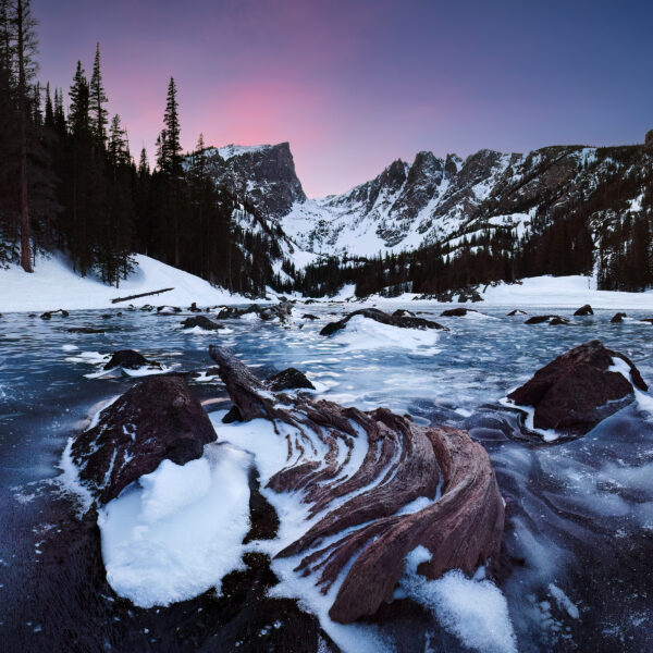 A Midwinter Nights Dream