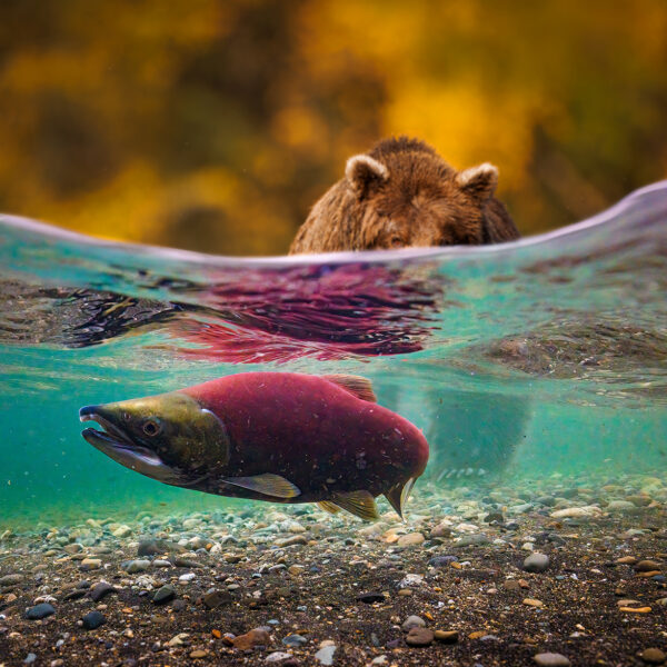 Where Worlds Collide