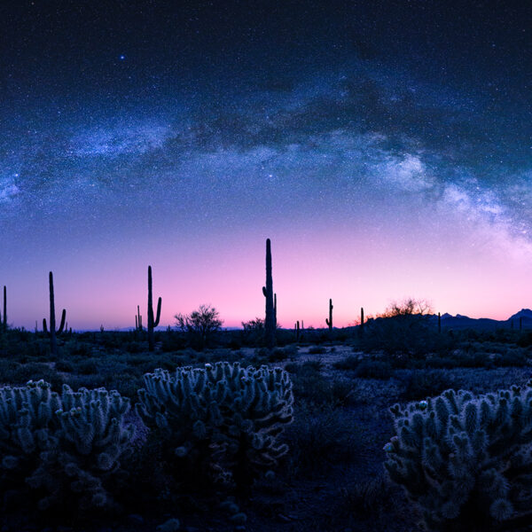 Arizona Nights