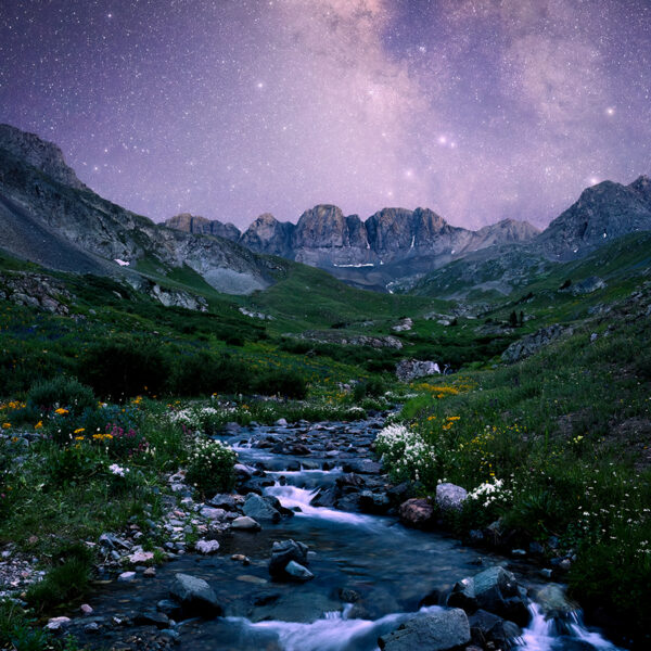 Night of Wonder