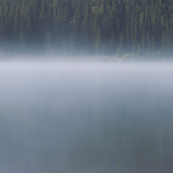 Calming Waters